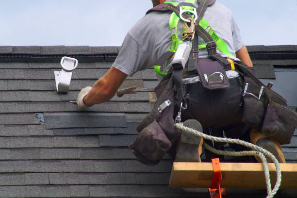 Best Metal Roofing Contractor  in Waveland, MS