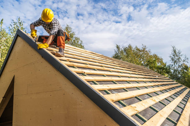Best Roof Gutter Cleaning  in Waveland, MS